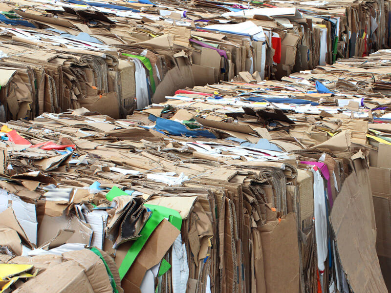 Cardboard waste recycling in Essex and the UK