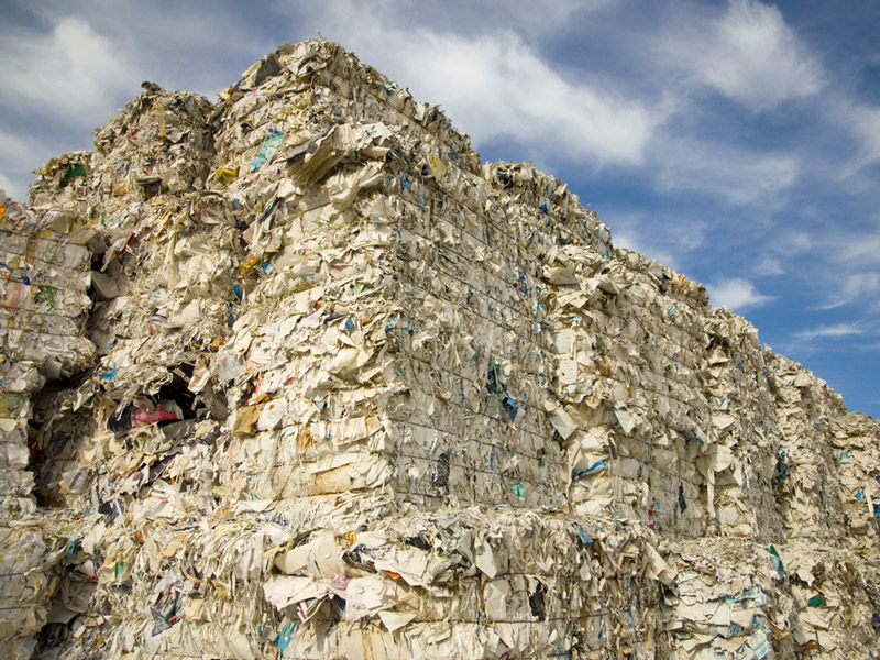 Paper waste recycling in Essex and the UK